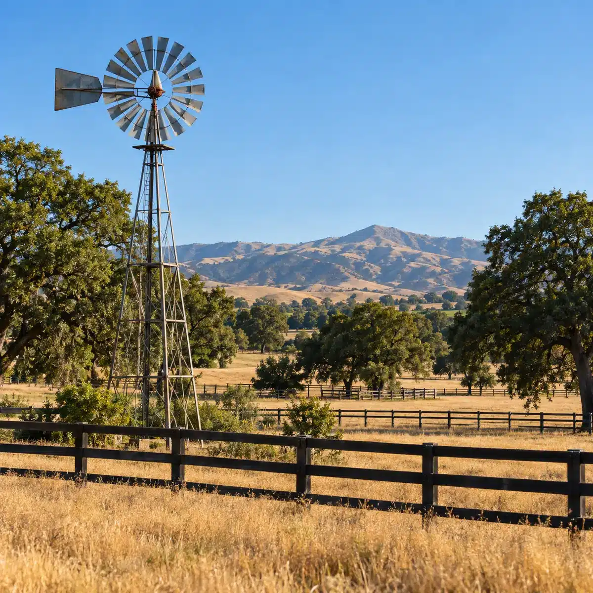 Perennial Builders provides septic services for a range of Tracy properties including rural, agricultural and mixed use properties. Perennial Builders provides septic services for a range of Tracy properties including rural, agricultural and mixed use properties.